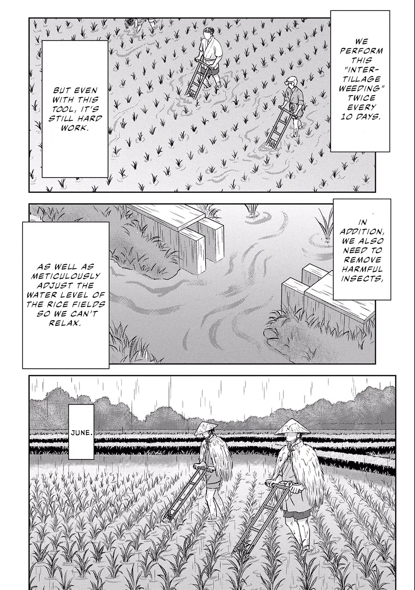 Sengoku Komachi Kurou Tan! Chapter 6 page 33 - Chapter 6: Rice Cultivation