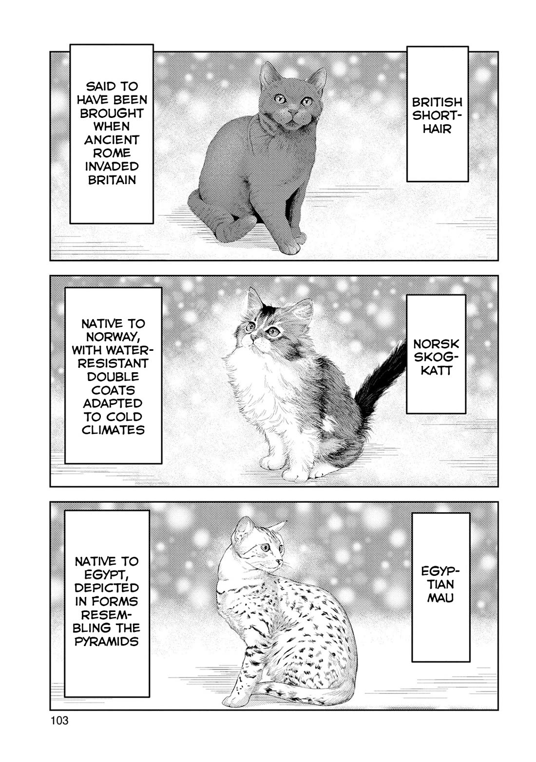 Sengoku Komachi Kurou Tan! Chapter 89 page 14 - Chapter 89: Official Letter