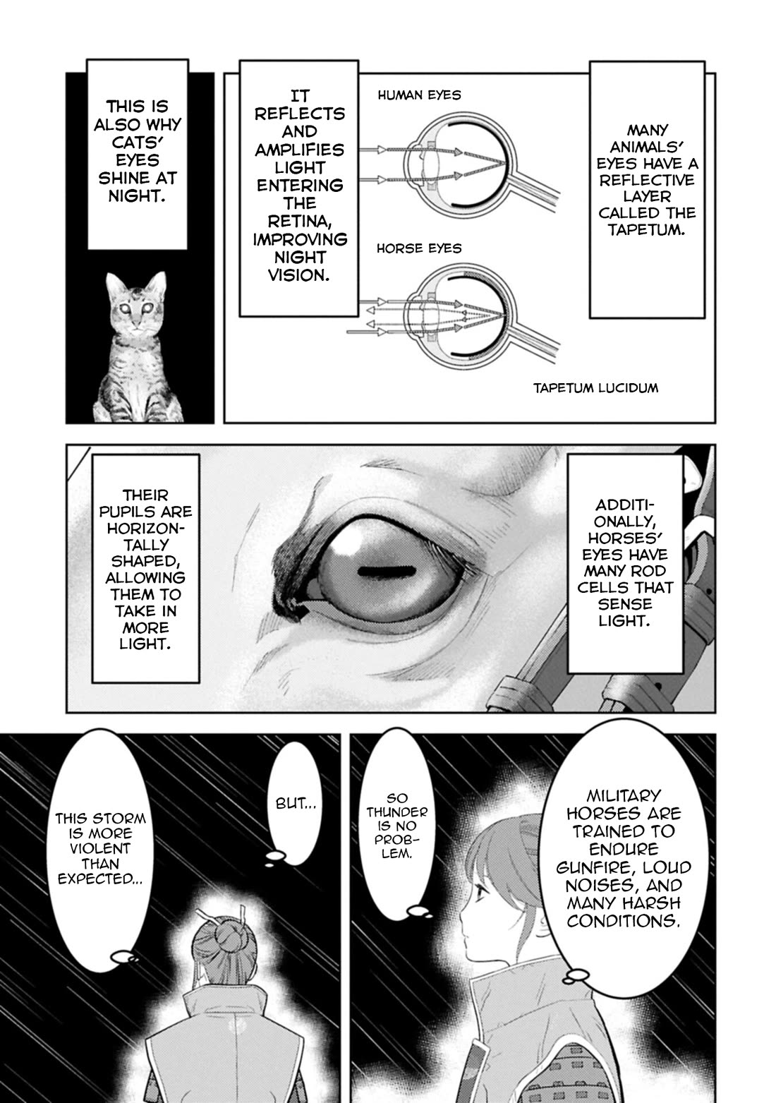 Sengoku Komachi Kurou Tan! Chapter 97 page 20 - Chapter 97: Thunder