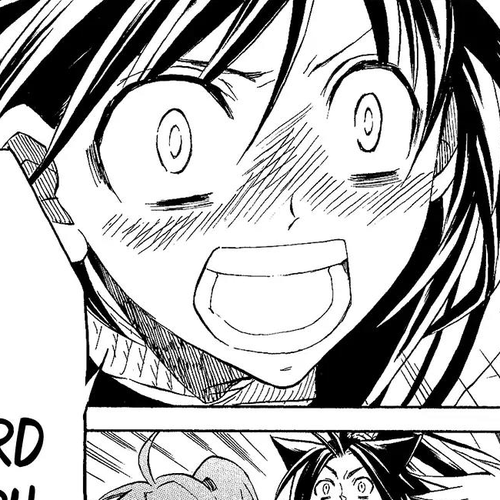 Sengoku Strays Chapter 46: Brotherhood of War cover