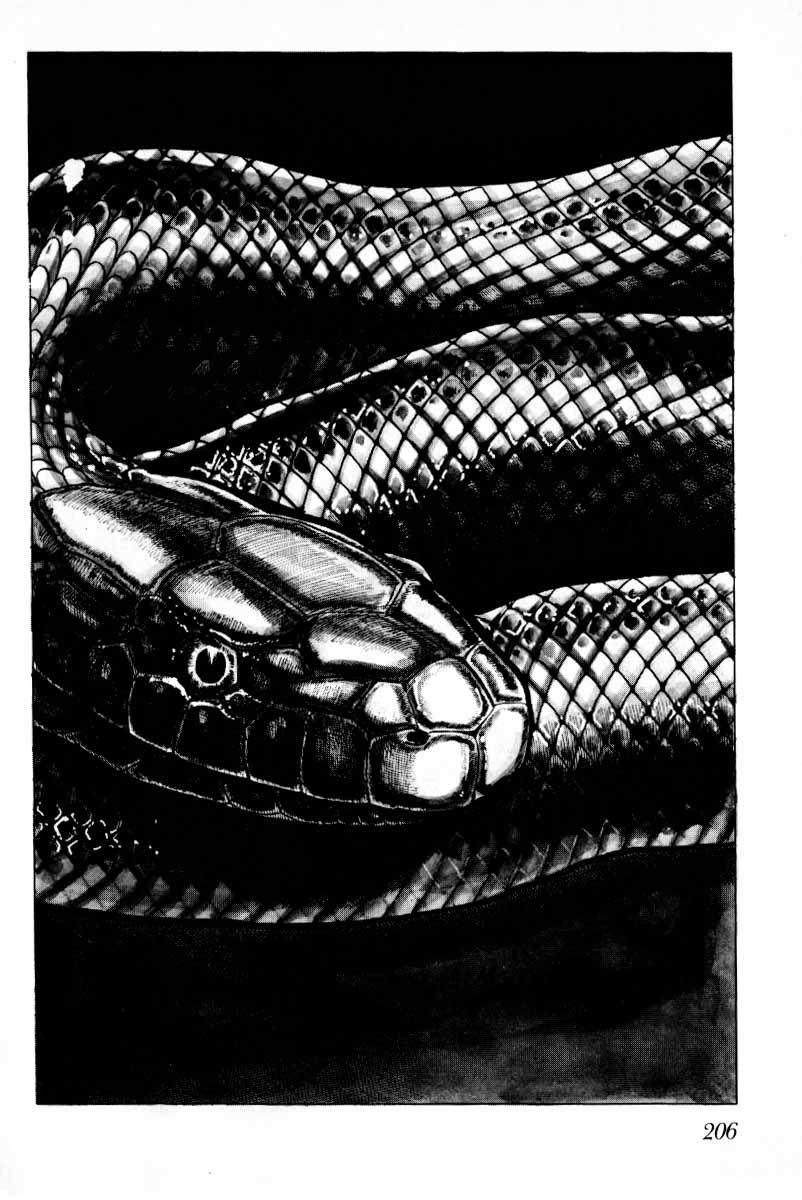 Senrei Chapter 10.2 page 65 - Chapter 10.2 : [End]