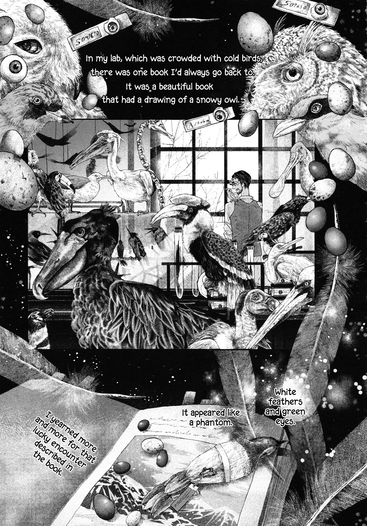 Sensuishi to Kurage Chapter 5 page 1 - Chapter 5: Bear and Cub (Part Two)