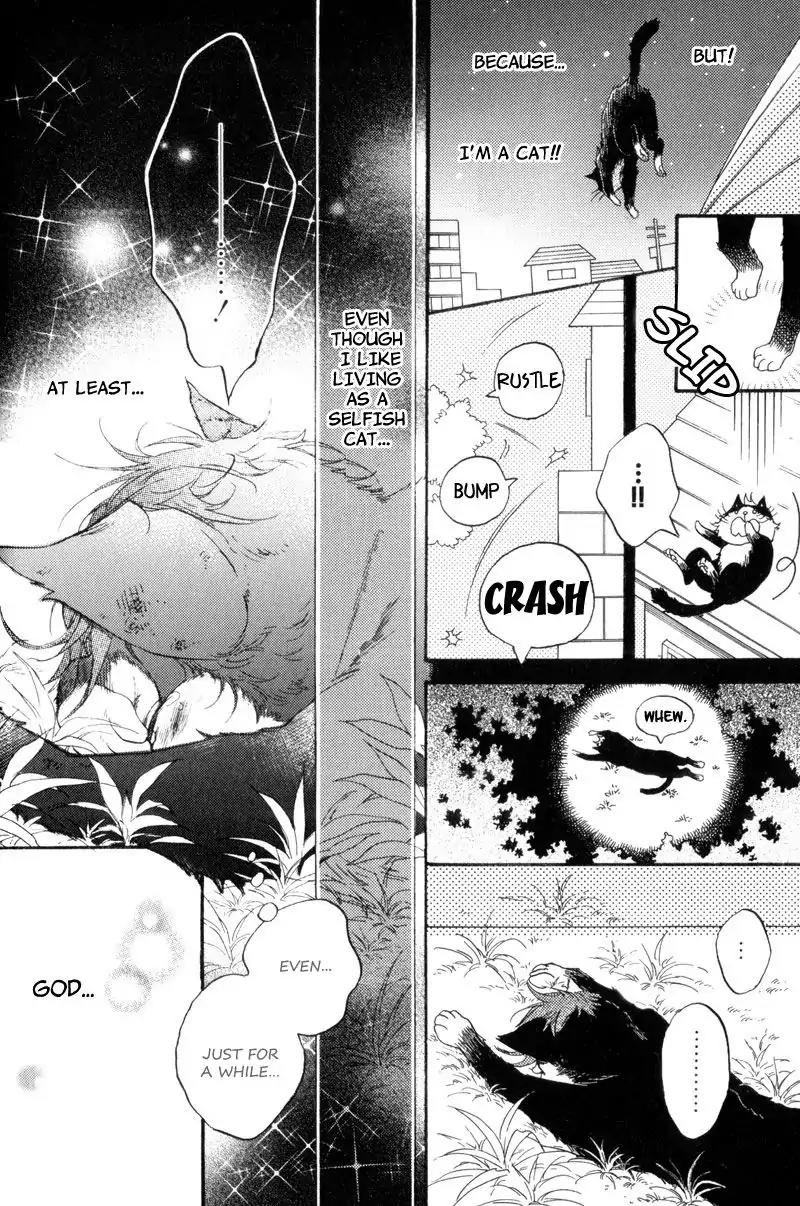 Sentimental Garden Lover Chapter 1 page 18 - Chapter 1: Sentimental Garden Lover