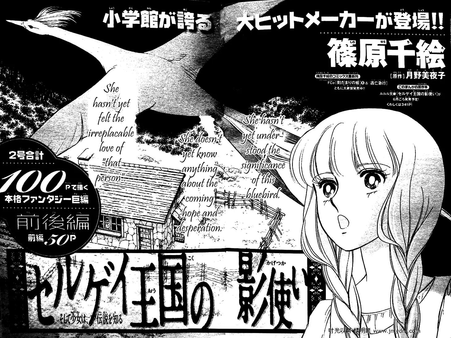 Serugei Oukoku no Kage Tsukai Chapter 1 page 3 - Chapter 1