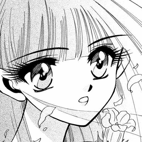 Shade Chapter 2: Flower cover