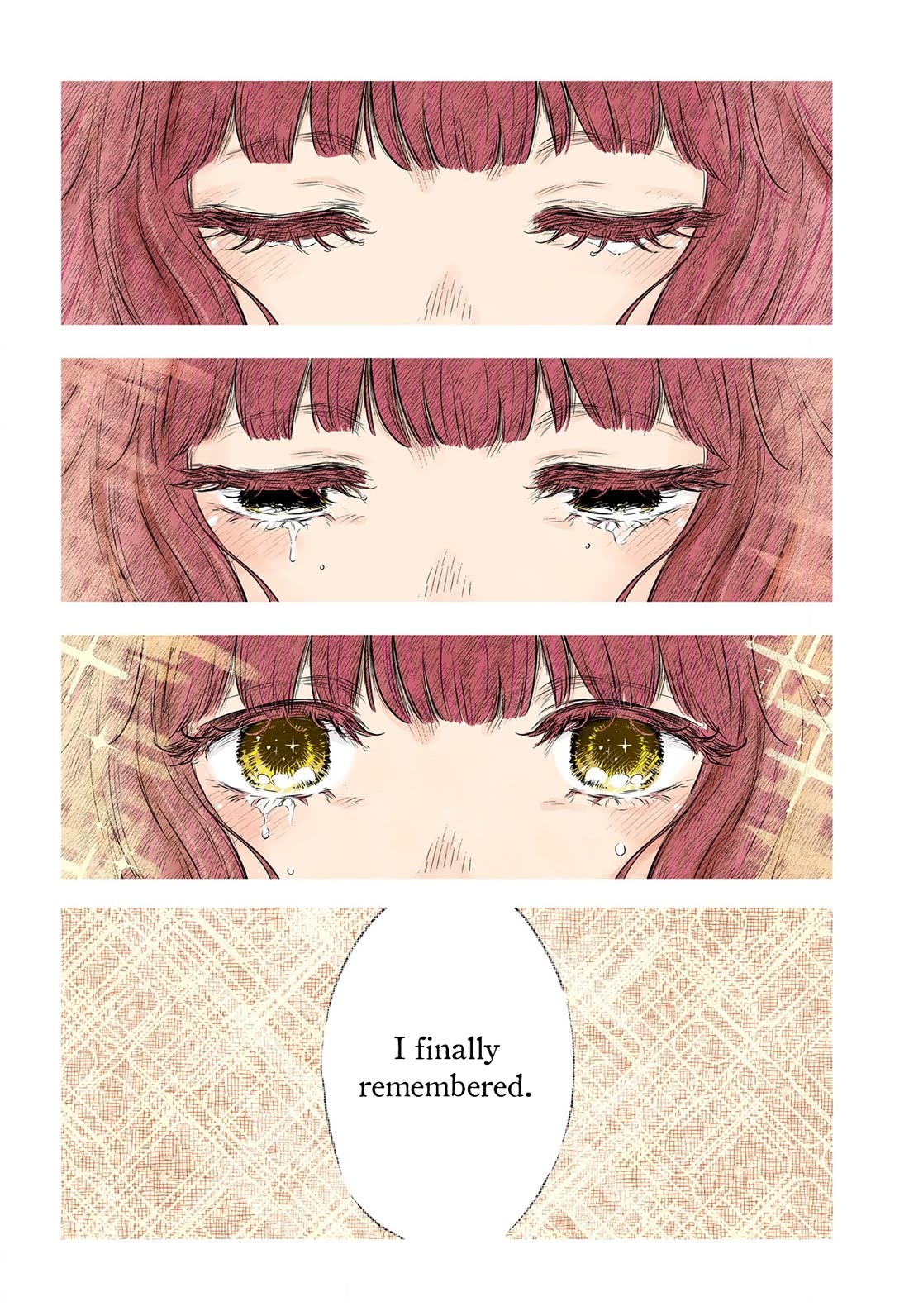 Shadow House Chapter 191 page 17 - Chapter 191: Lost Memories
