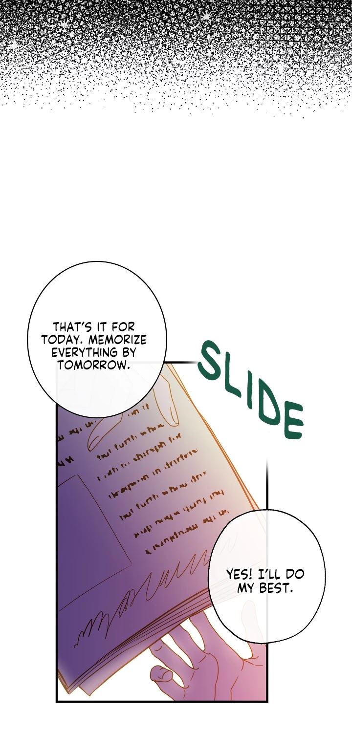 Shadow Queen Chapter 13 page 33 - Chapter 13