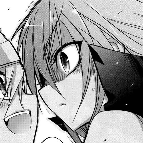Shakugan no Shana Chapter 56: The Flowers of Rinnes cover