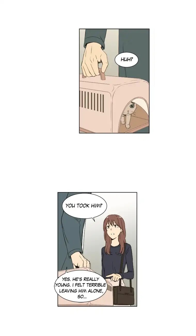 Shall We Have Dinner Tonight? Chapter 33 page 18 - Chapter 33: Canned Cat Food & Cup Noodles