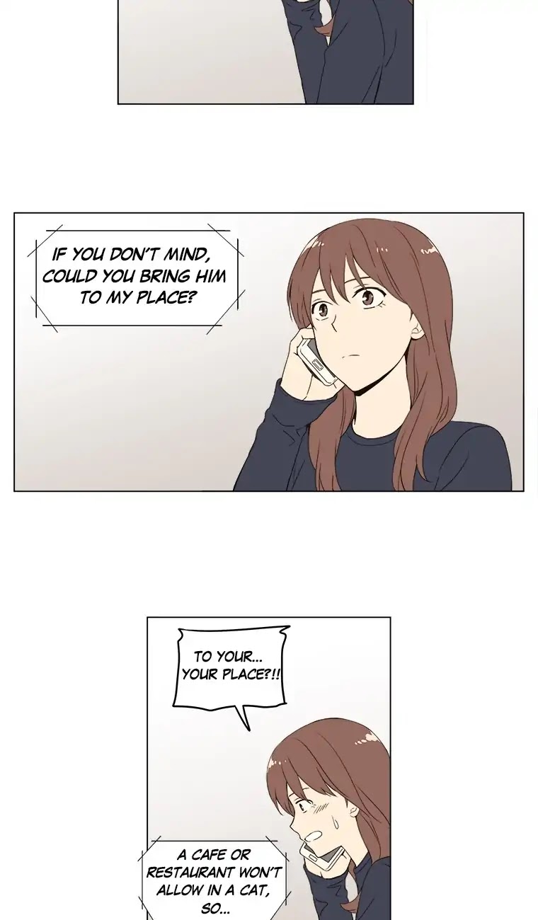Shall We Have Dinner Tonight? Chapter 33 page 43 - Chapter 33: Canned Cat Food & Cup Noodles