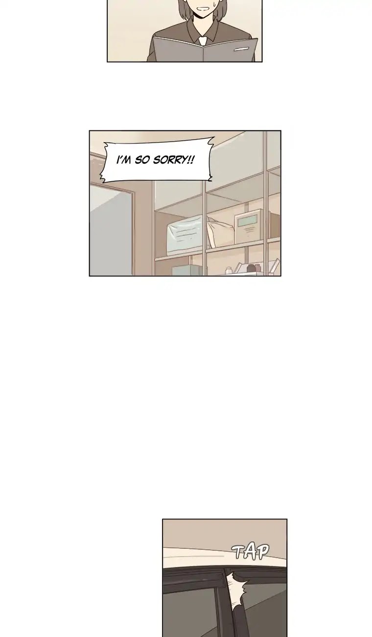 Shall We Have Dinner Tonight? Chapter 44 page 23 - Chapter 44: The Last Restaurant (1)