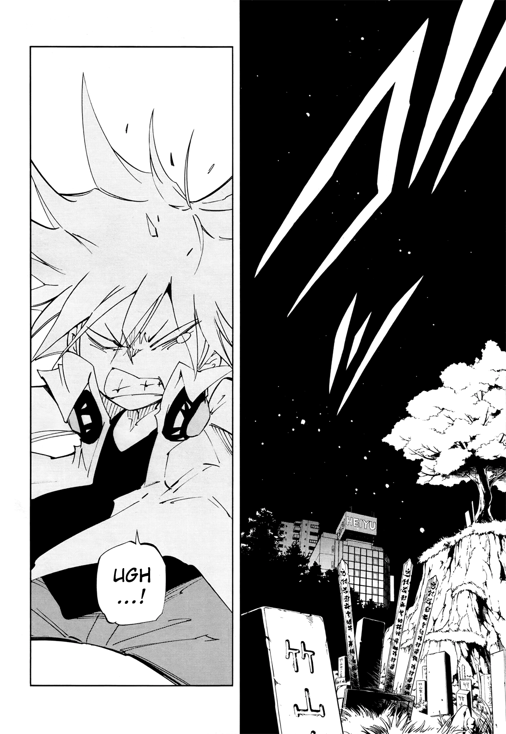 Shaman King: Flowers Chapter 1 page 12 - Chapter 1: Bud