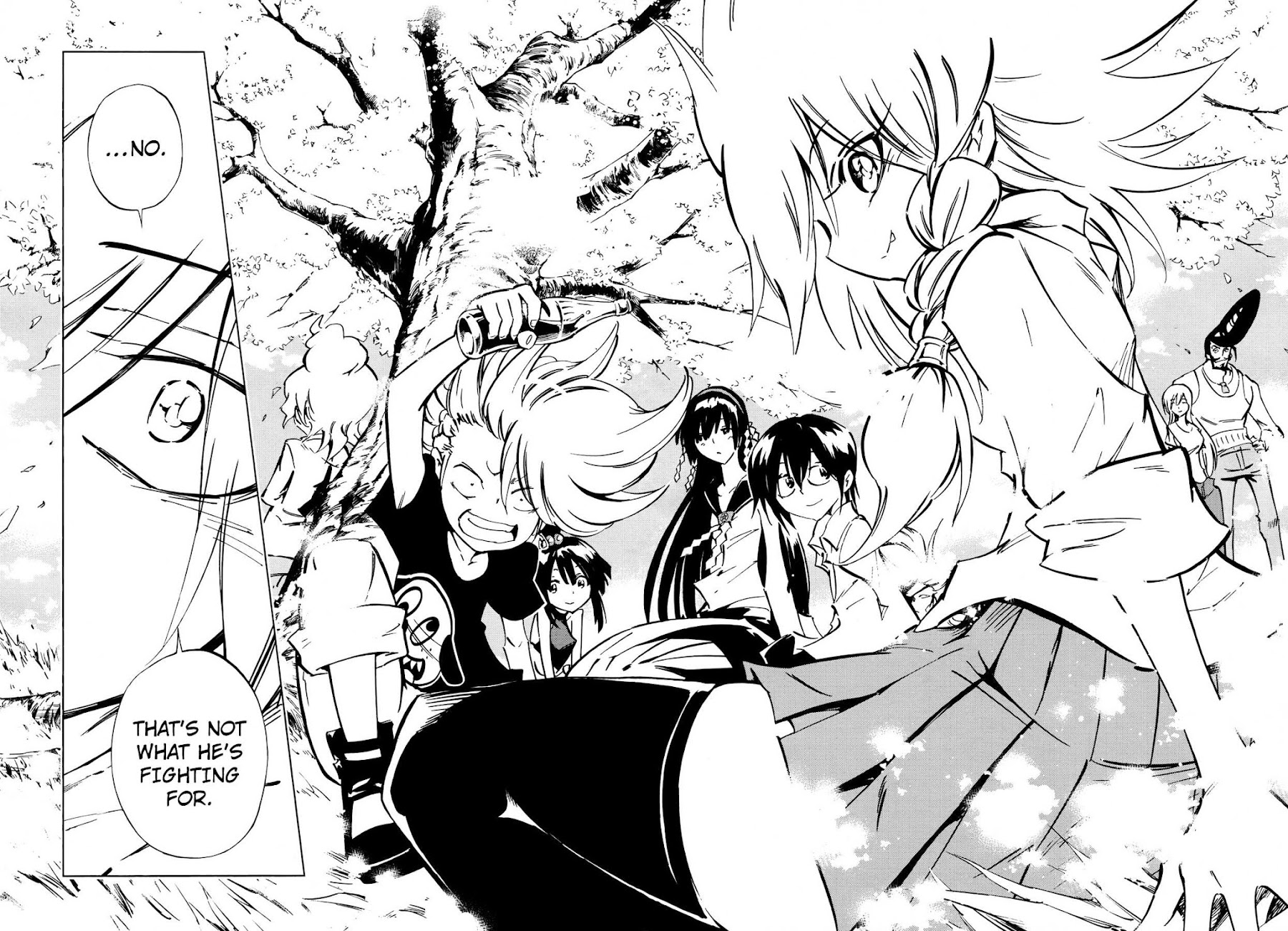 Shaman King: Flowers Chapter 29 page 25 - Chapter 29: Death Zero 11