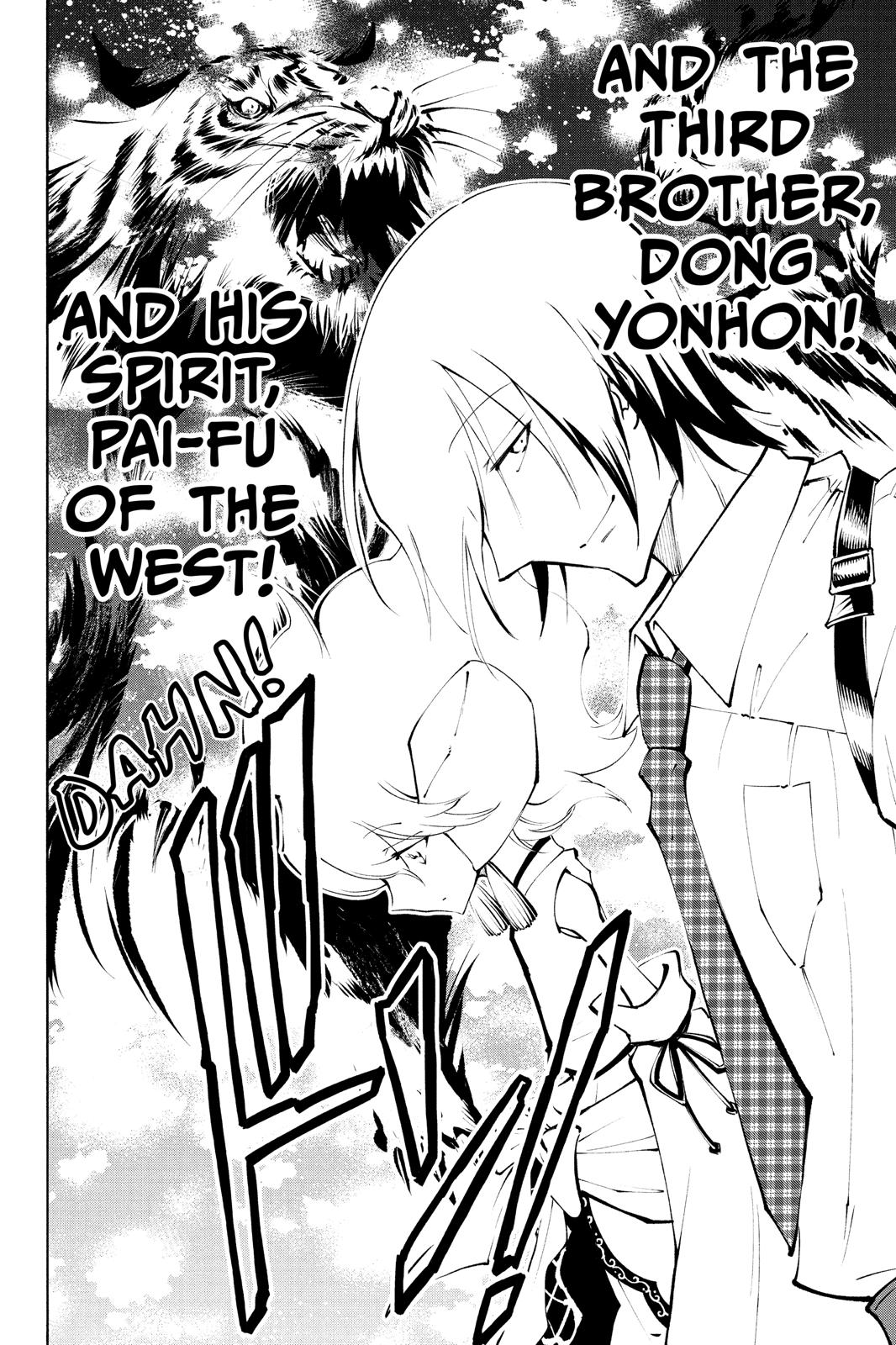 Shaman King: Red Crimson Chapter 8 page 29 - Chapter 8