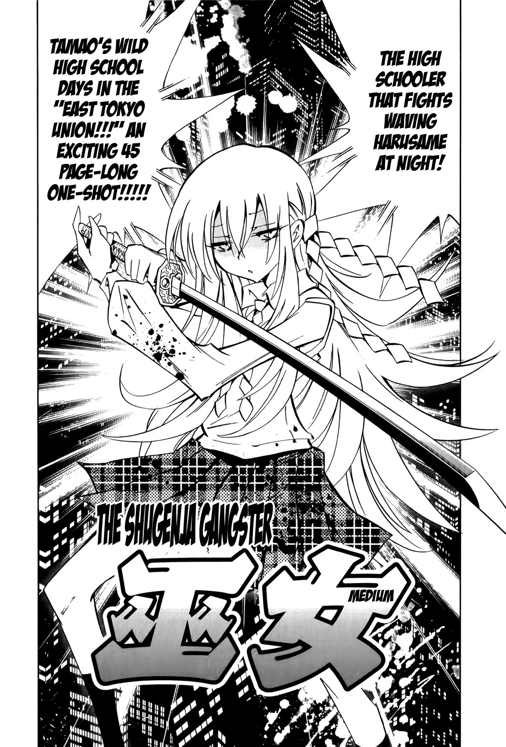 Shaman King: Remix Track Chapter 10 page 9 - Chapter 10: The Social Patchwork 2