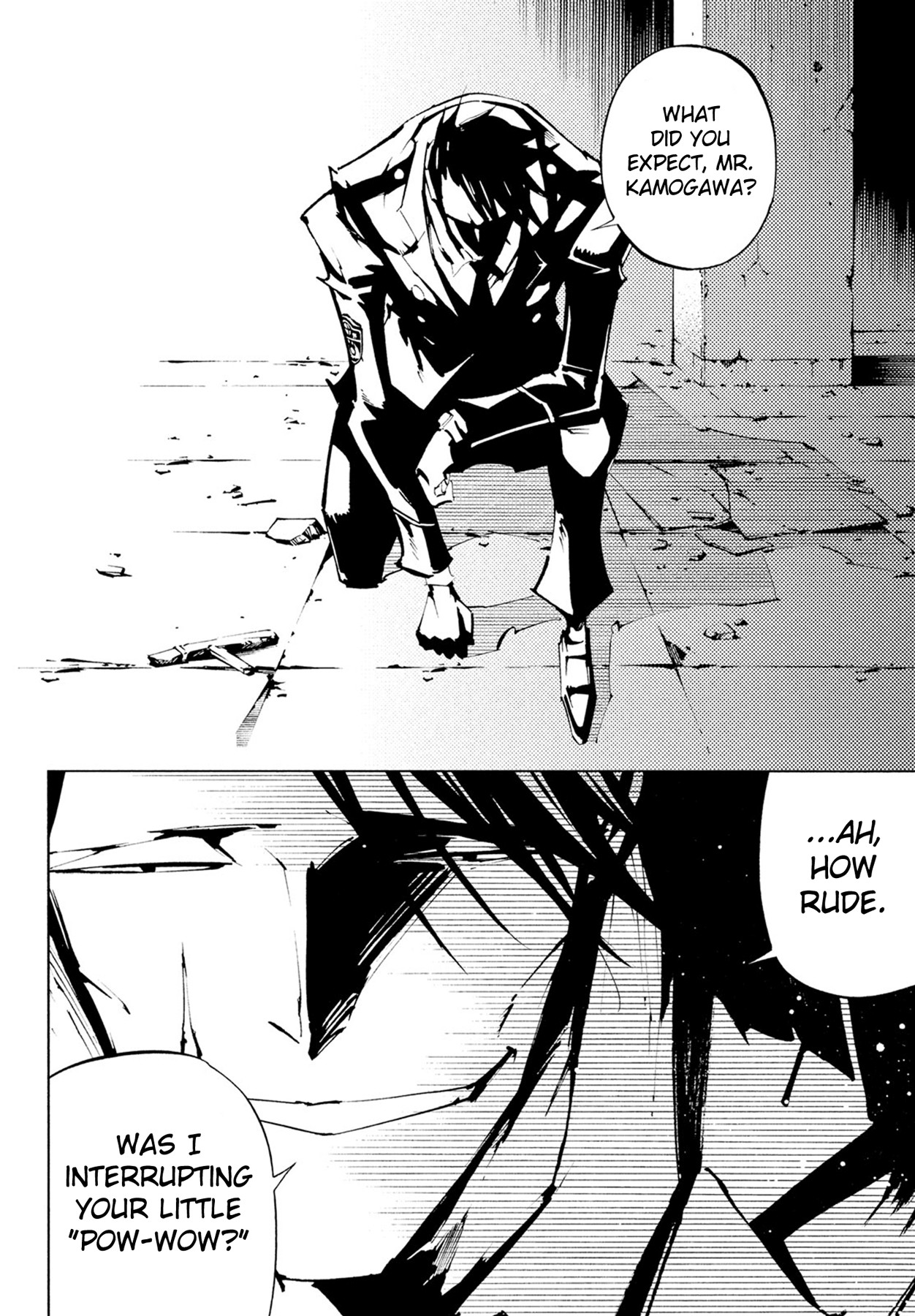 Shaman King: The Super Star Chapter 11 page 14 - Chapter 11: Hey, You - The Shinshu Intermission