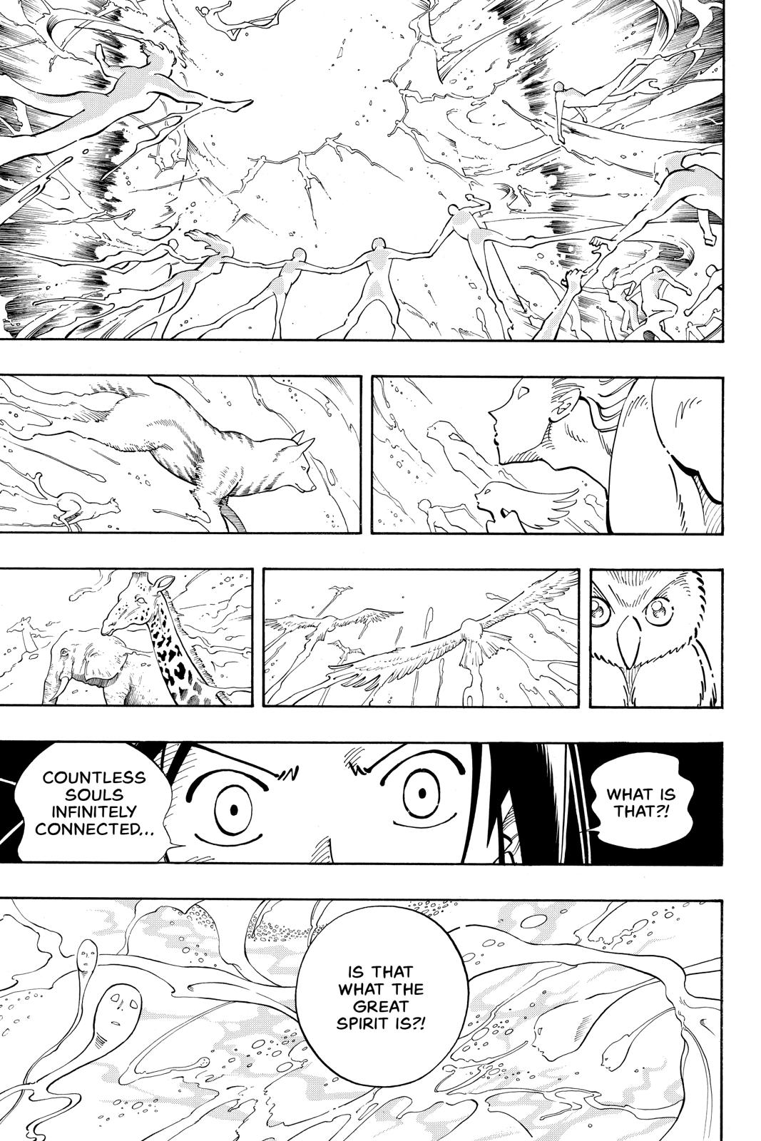 Shaman King Chapter 108 page 14 - Chapter 108