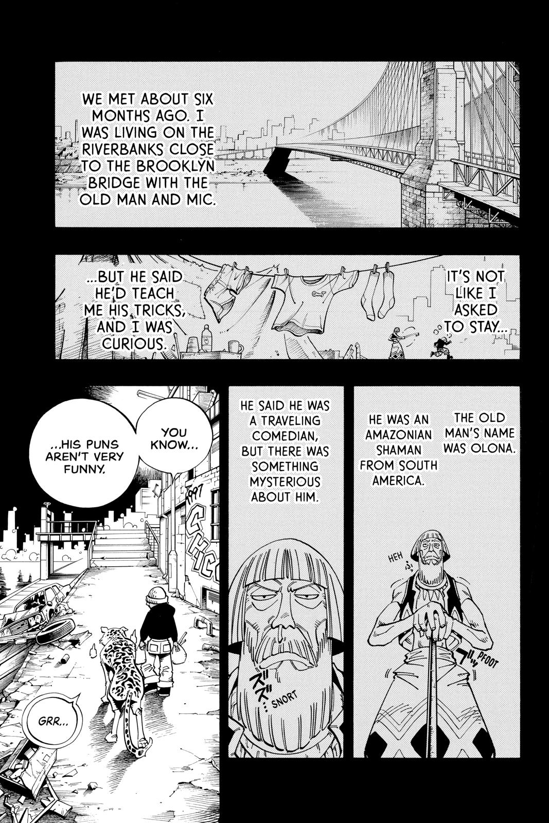 Shaman King Chapter 117 page 10 - Chapter 117