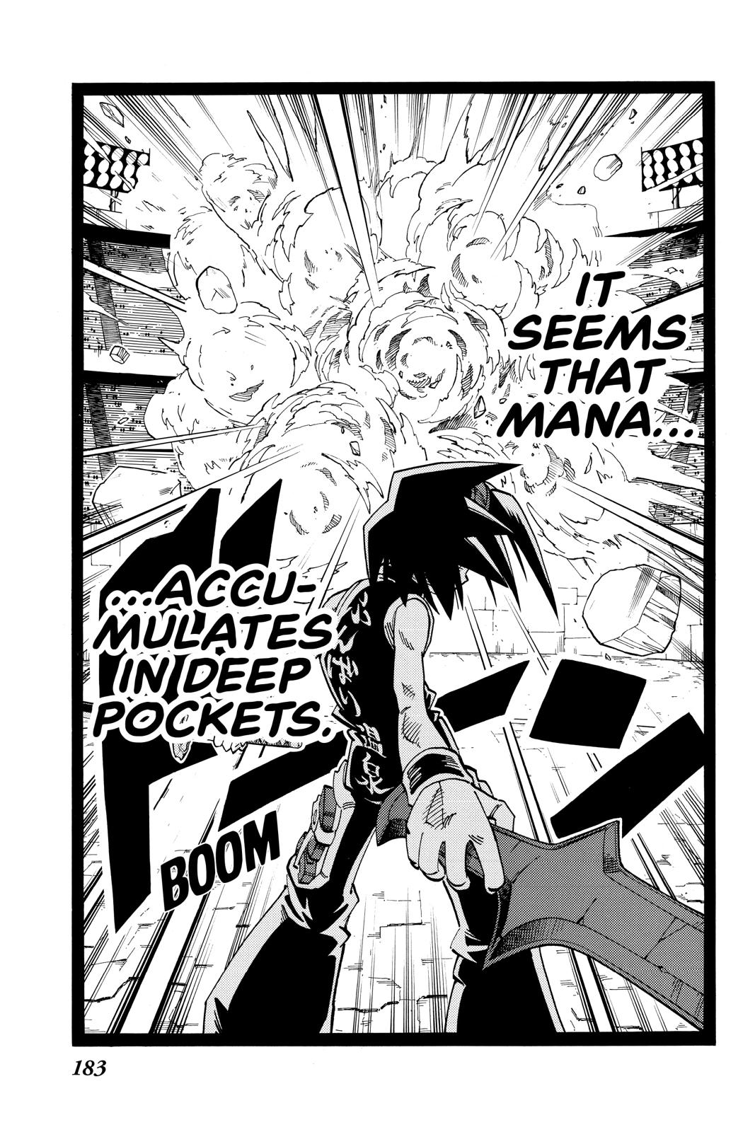 Shaman King Chapter 134 page 19 - Chapter 134