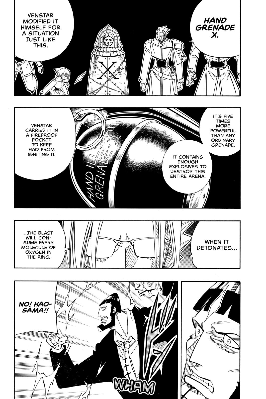 Shaman King Chapter 139 page 12 - Chapter 139