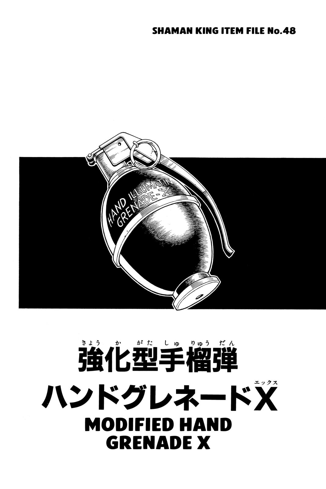 Shaman King Chapter 140 page 19 - Chapter 140