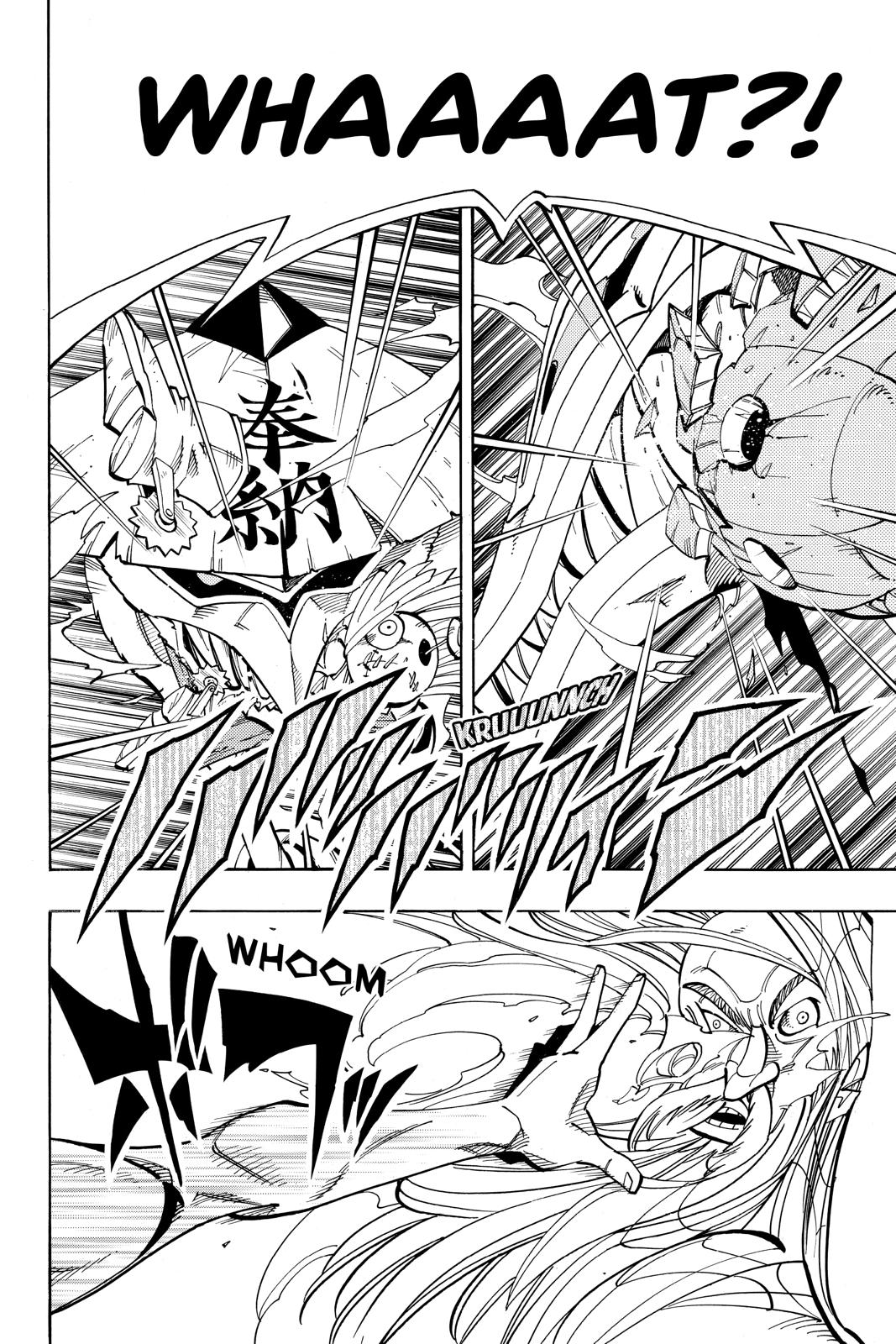 Shaman King Chapter 160 page 15 - Chapter 160
