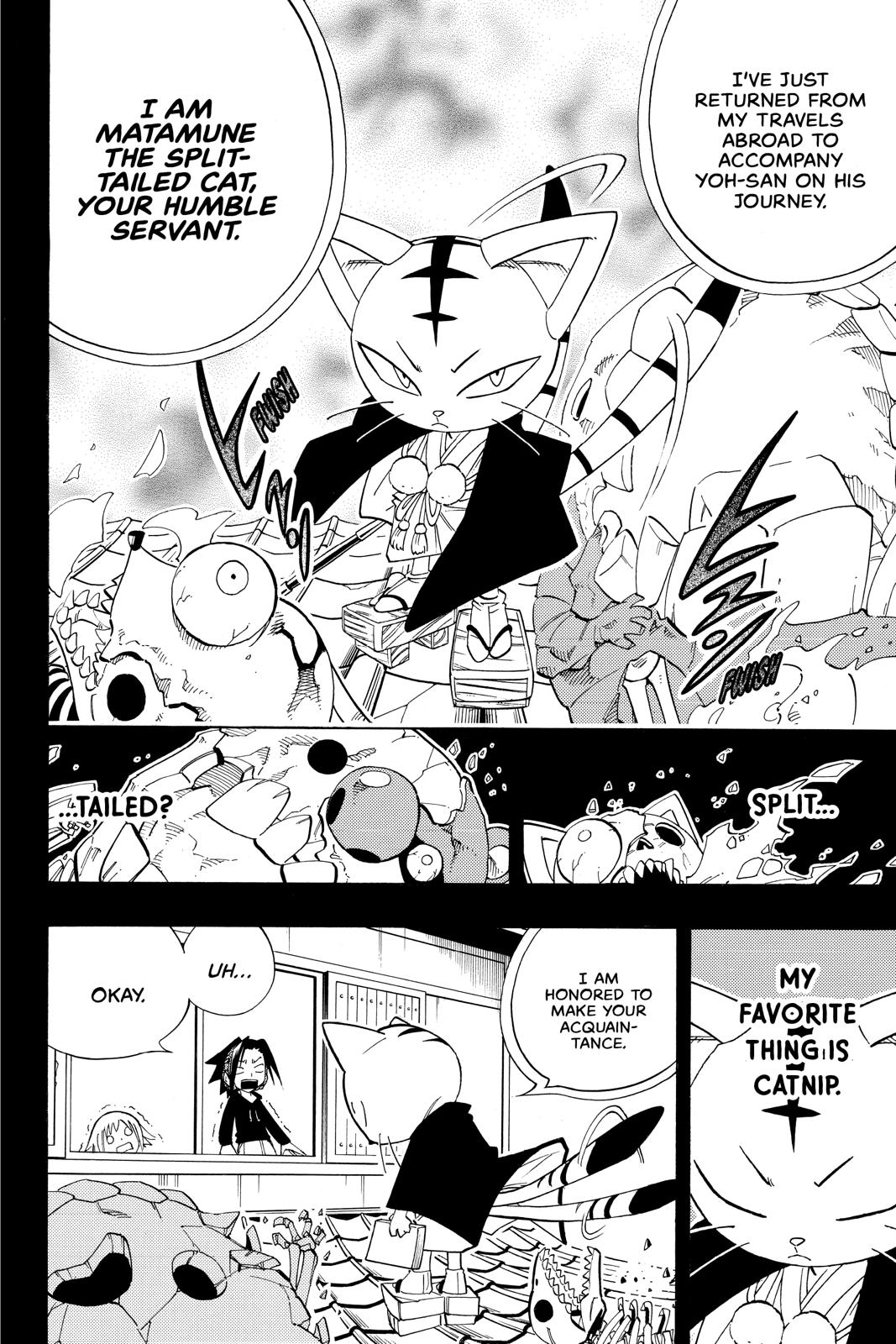 Shaman King Chapter 163 page 11 - Chapter 163