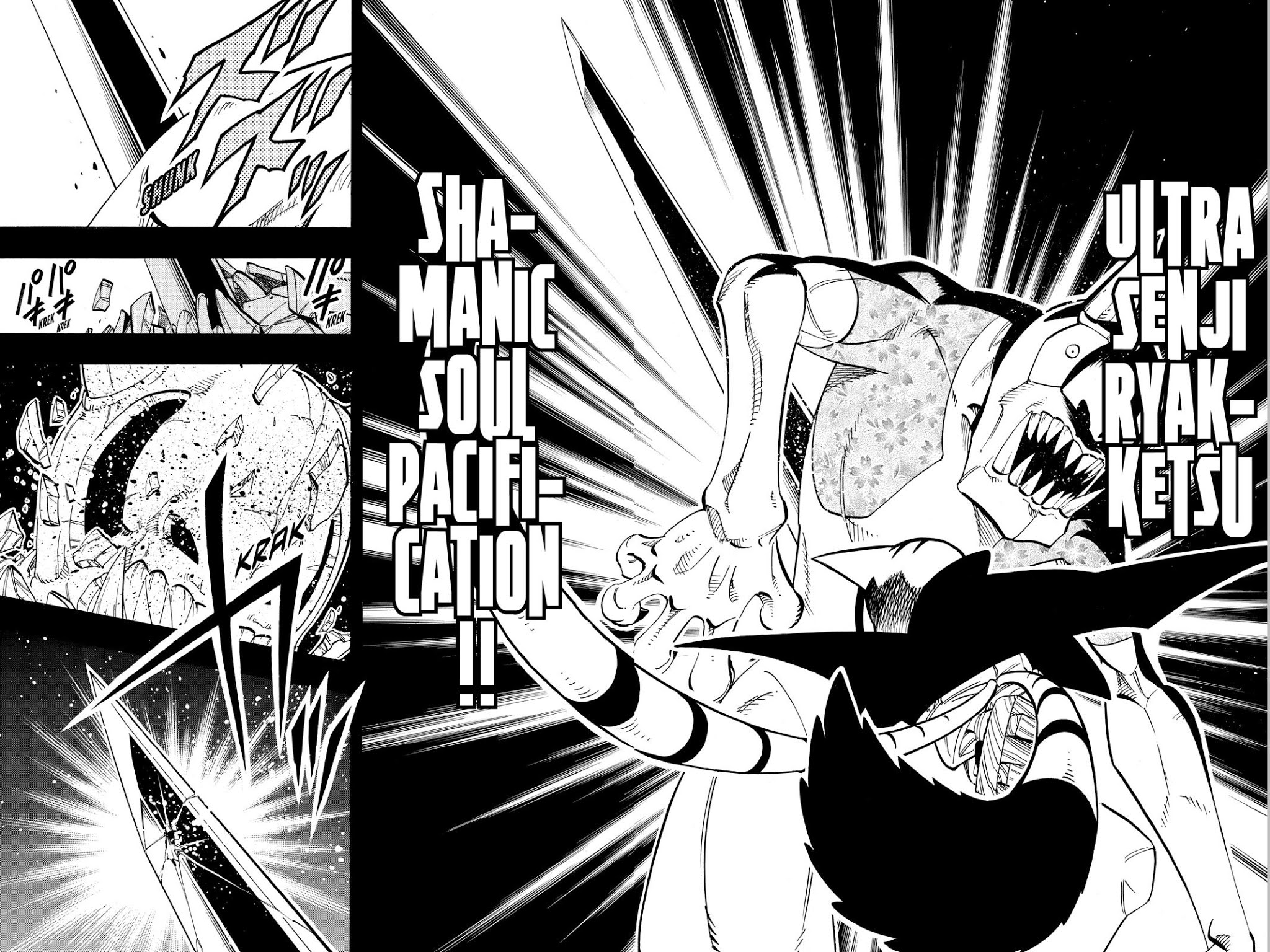 Shaman King Chapter 165 page 16 - Chapter 165