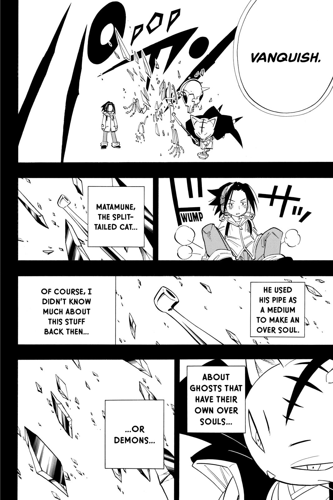 Shaman King Chapter 165 page 17 - Chapter 165