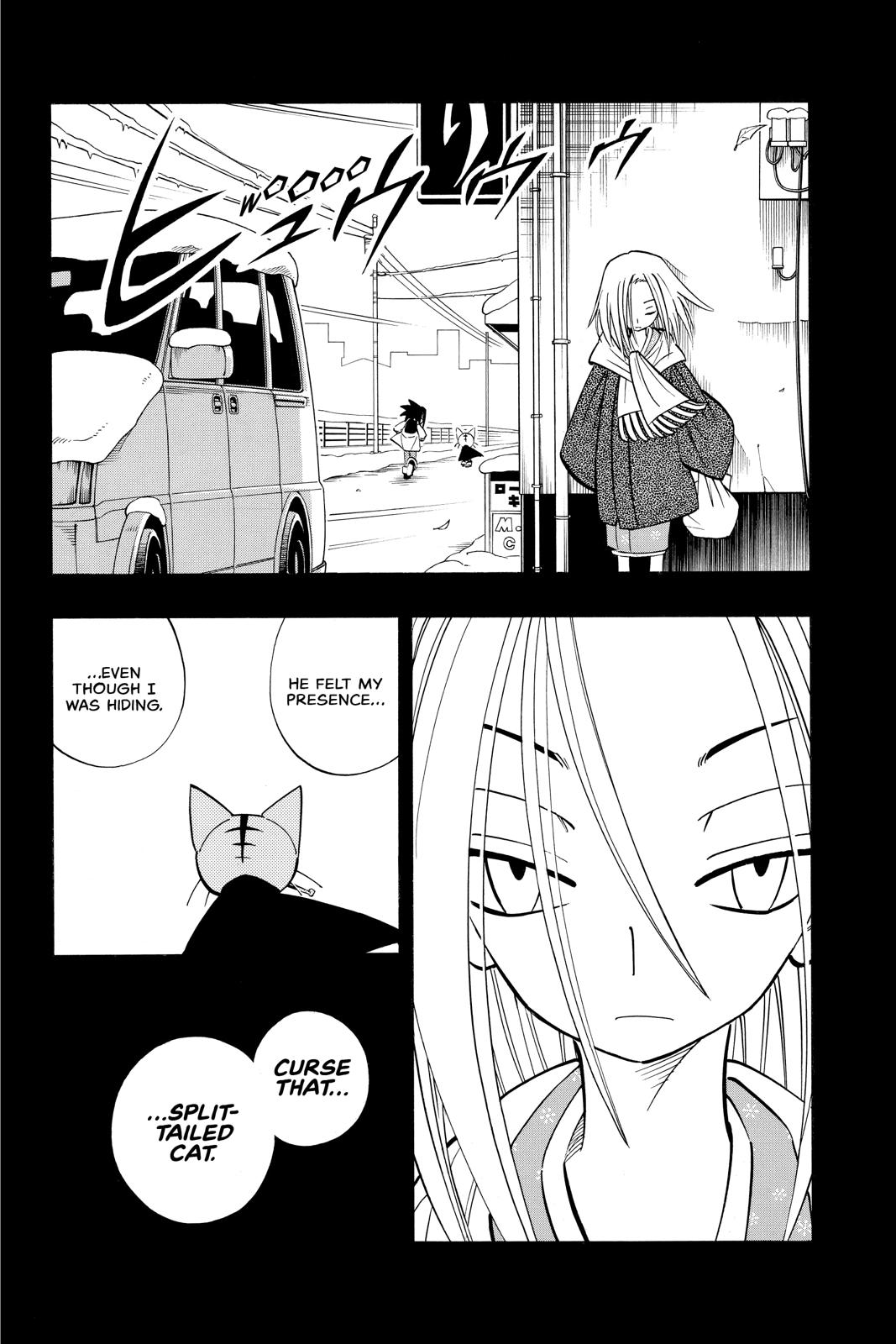 Shaman King Chapter 166 page 4 - Chapter 166