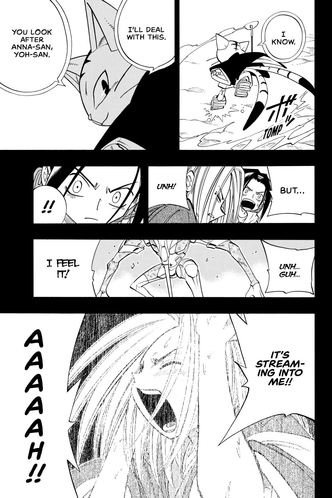 Shaman King Chapter 171 page 17 - Chapter 171