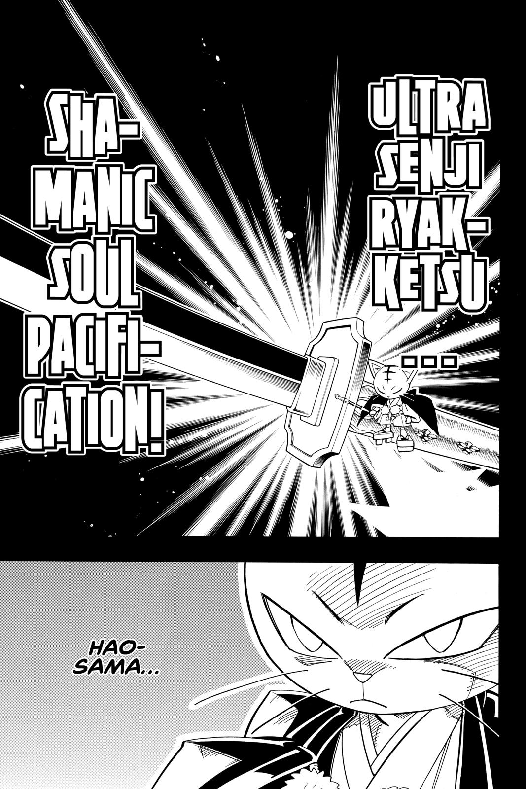 Shaman King Chapter 172 page 15 - Chapter 172