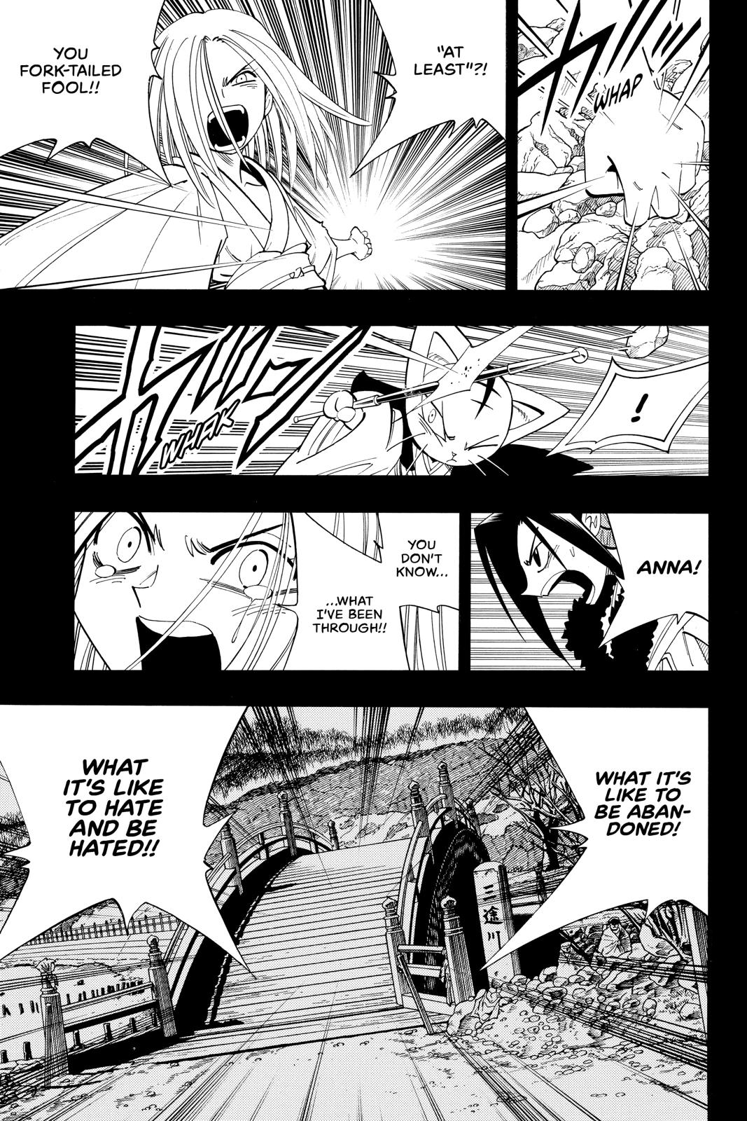 Shaman King Chapter 174 page 13 - Chapter 174