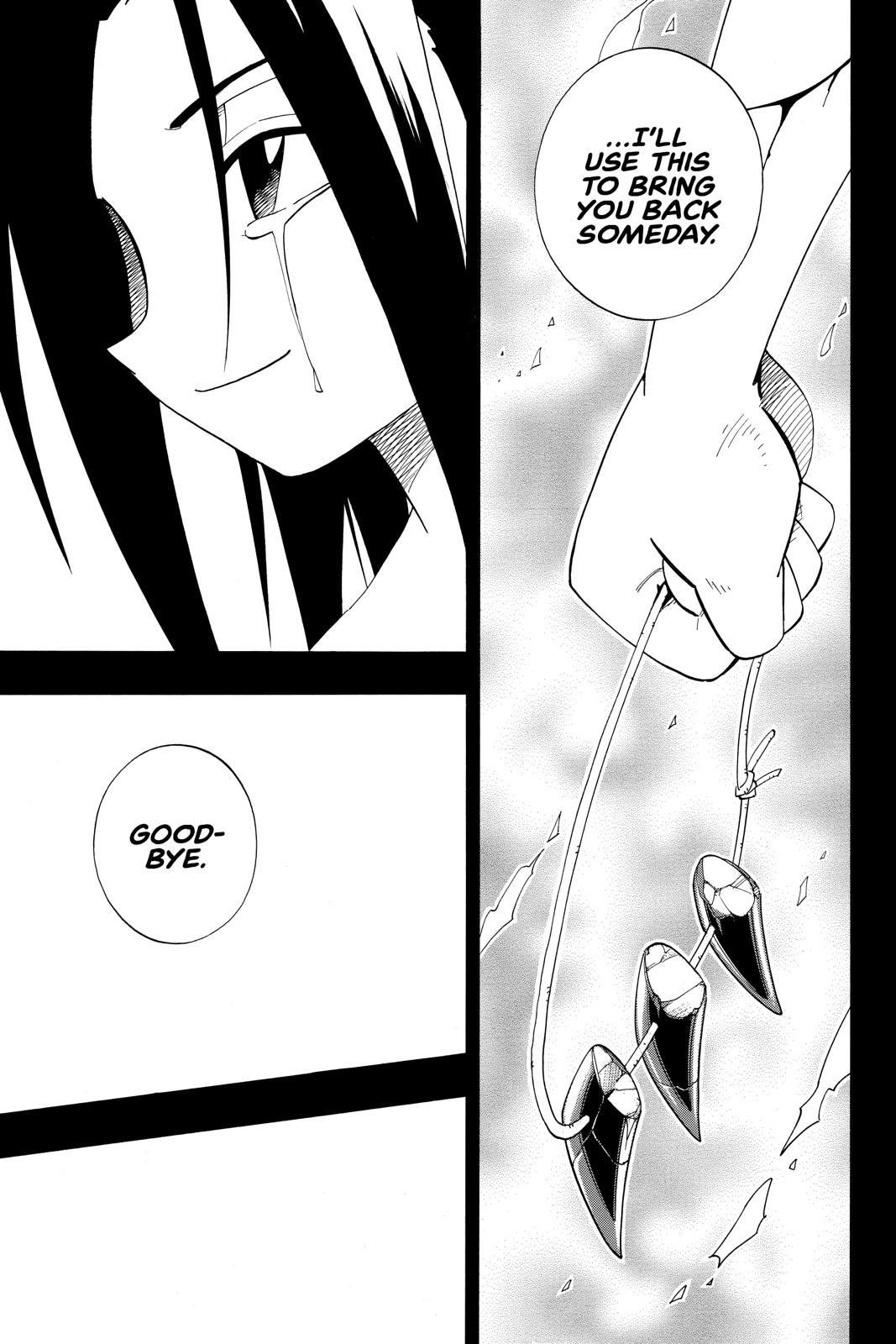 Shaman King Chapter 176 page 15 - Chapter 176