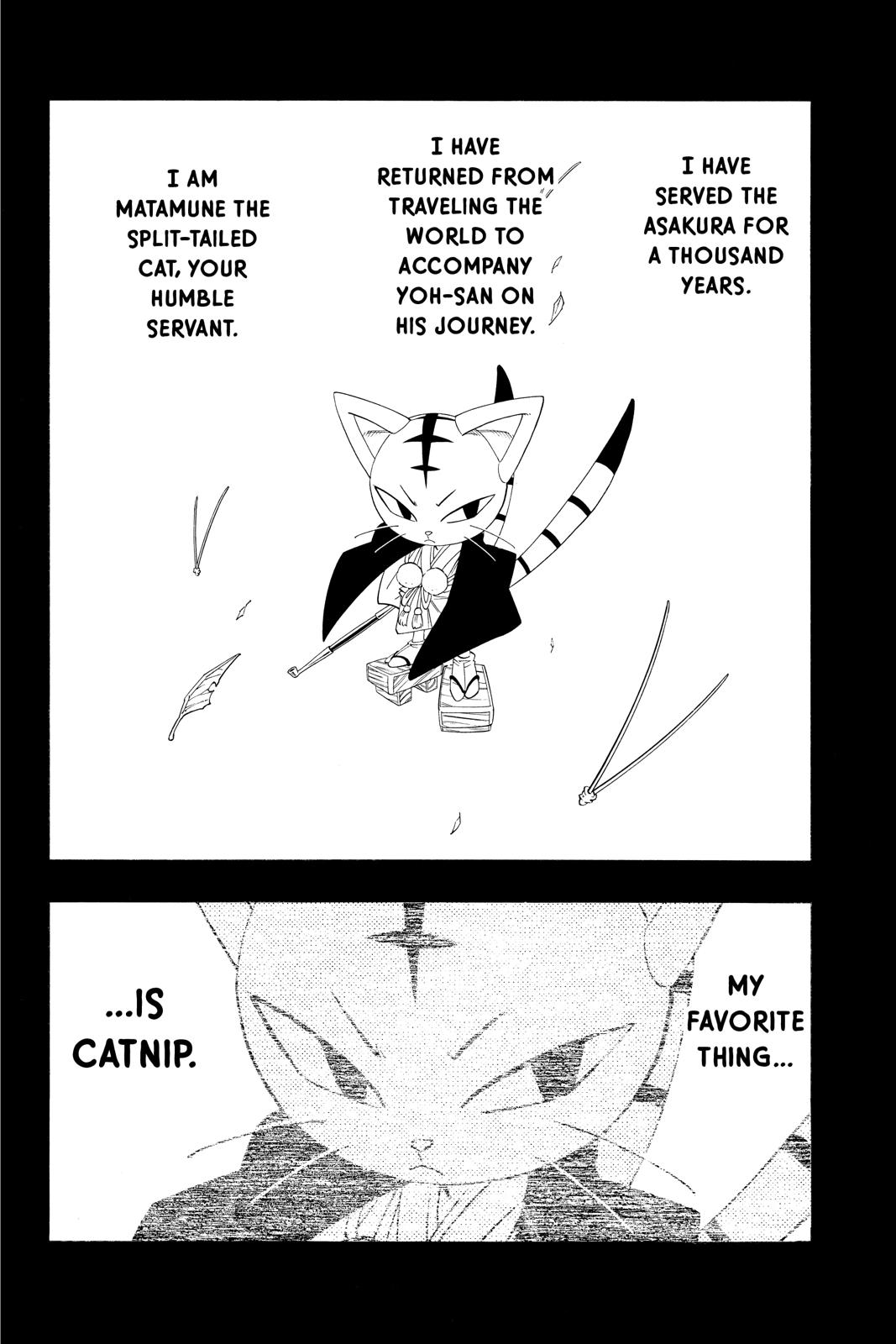 Shaman King Chapter 177 page 17 - Chapter 177