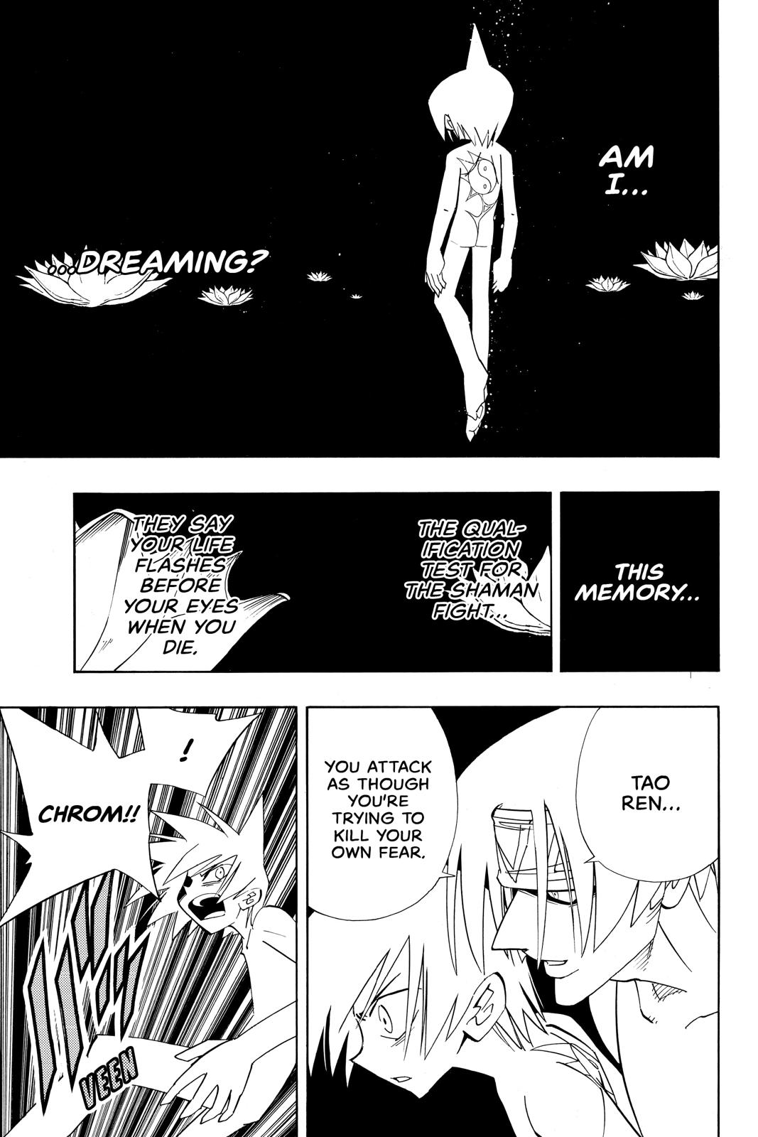 Shaman King Chapter 179 page 13 - Chapter 179