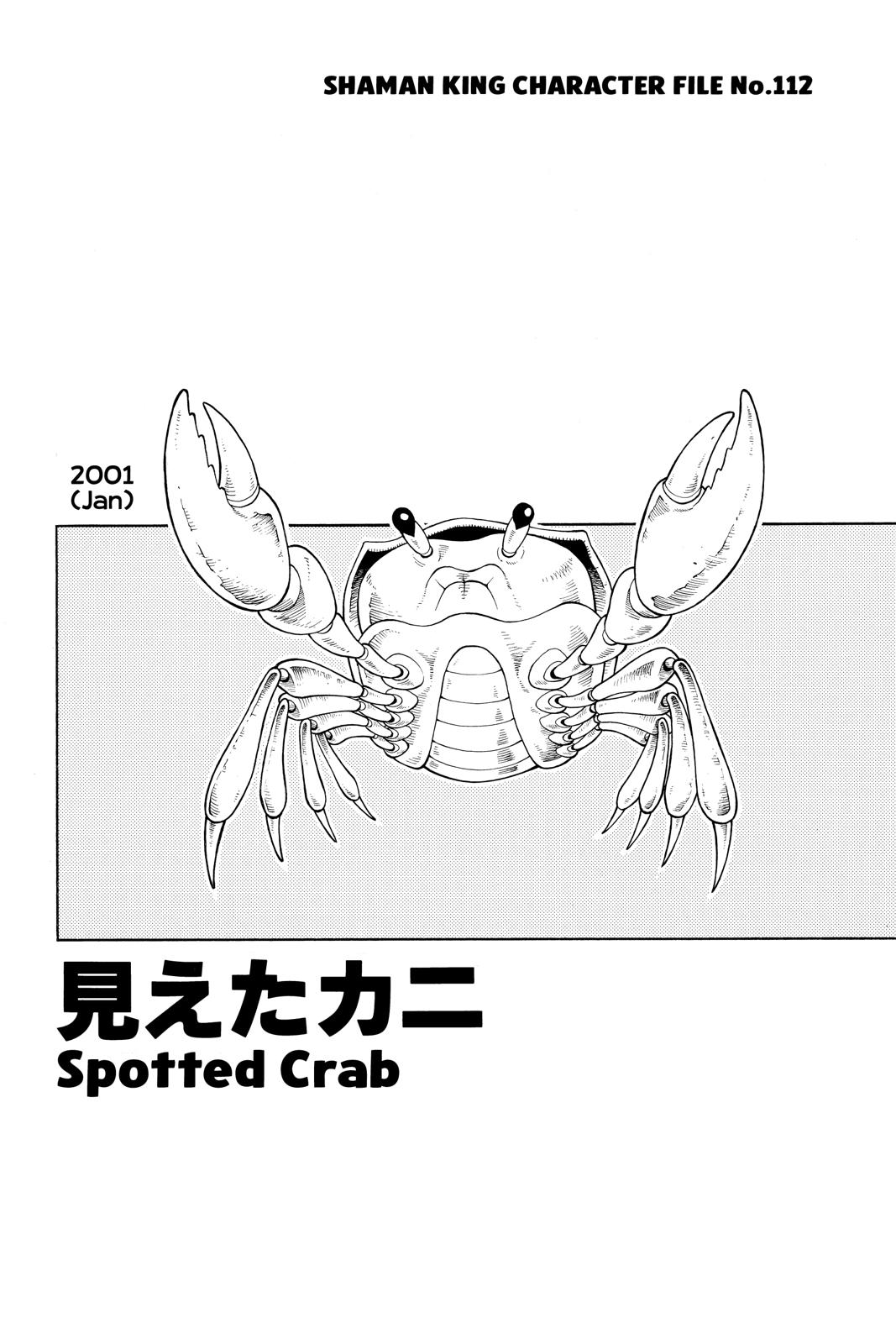 Shaman King Chapter 182 page 18 - Chapter 182
