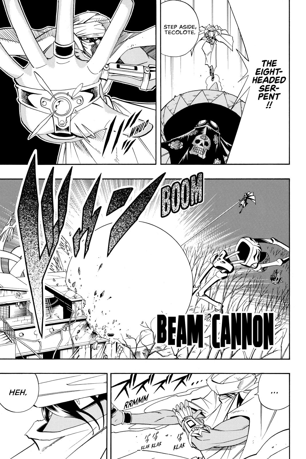 Shaman King Chapter 187 page 17 - Chapter 187