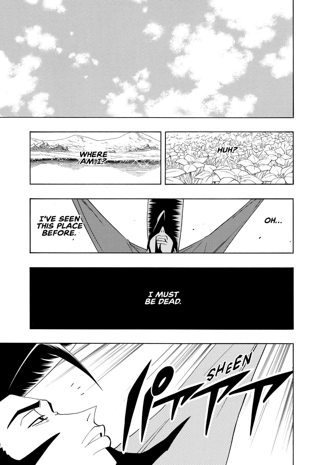 Shaman King Chapter 189 page 19 - Chapter 189