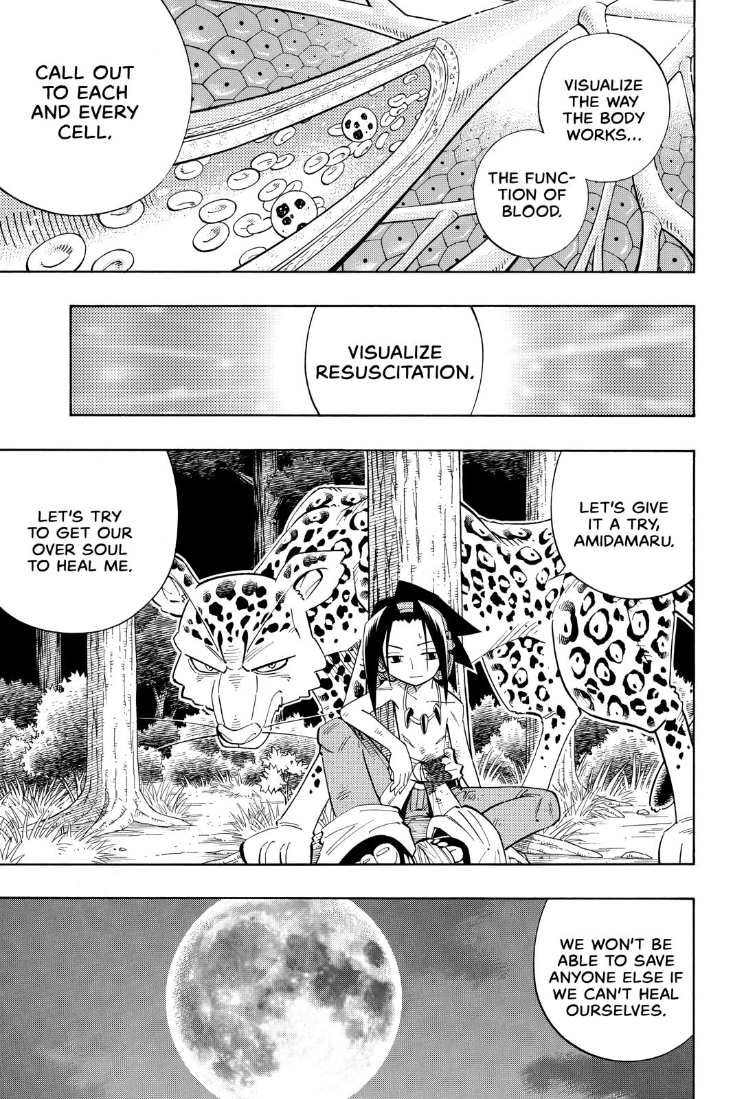 Shaman King Chapter 195 page 14 - Chapter 195