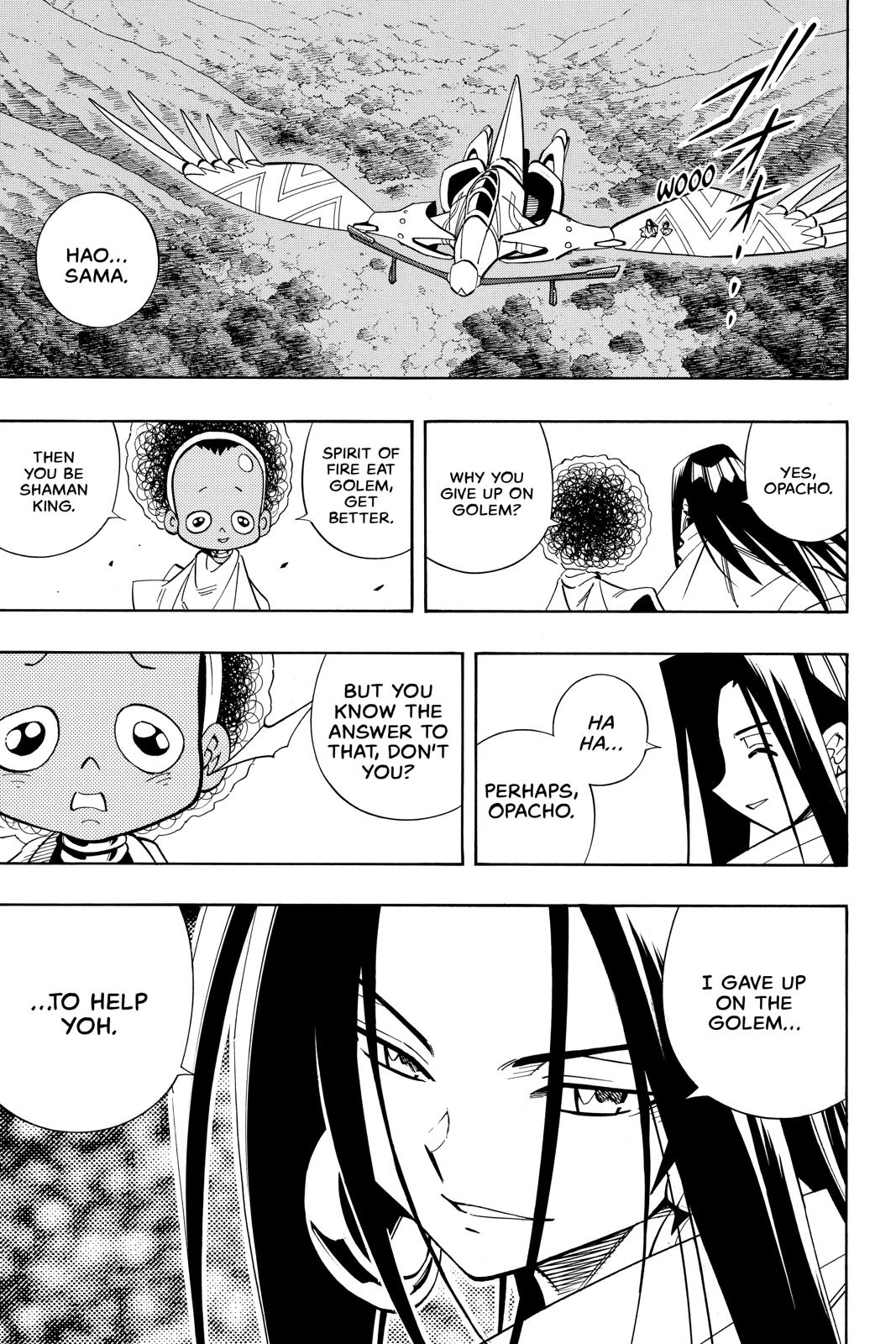 Shaman King Chapter 202 page 13 - Chapter 202