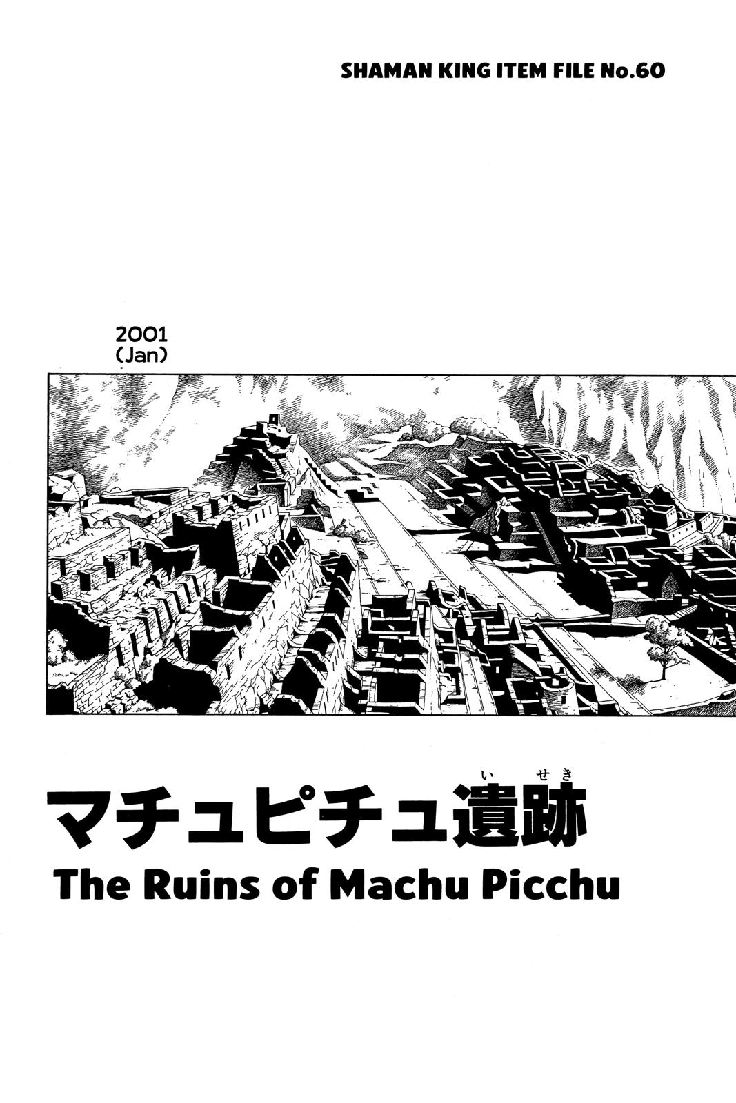 Shaman King Chapter 203 page 19 - Chapter 203