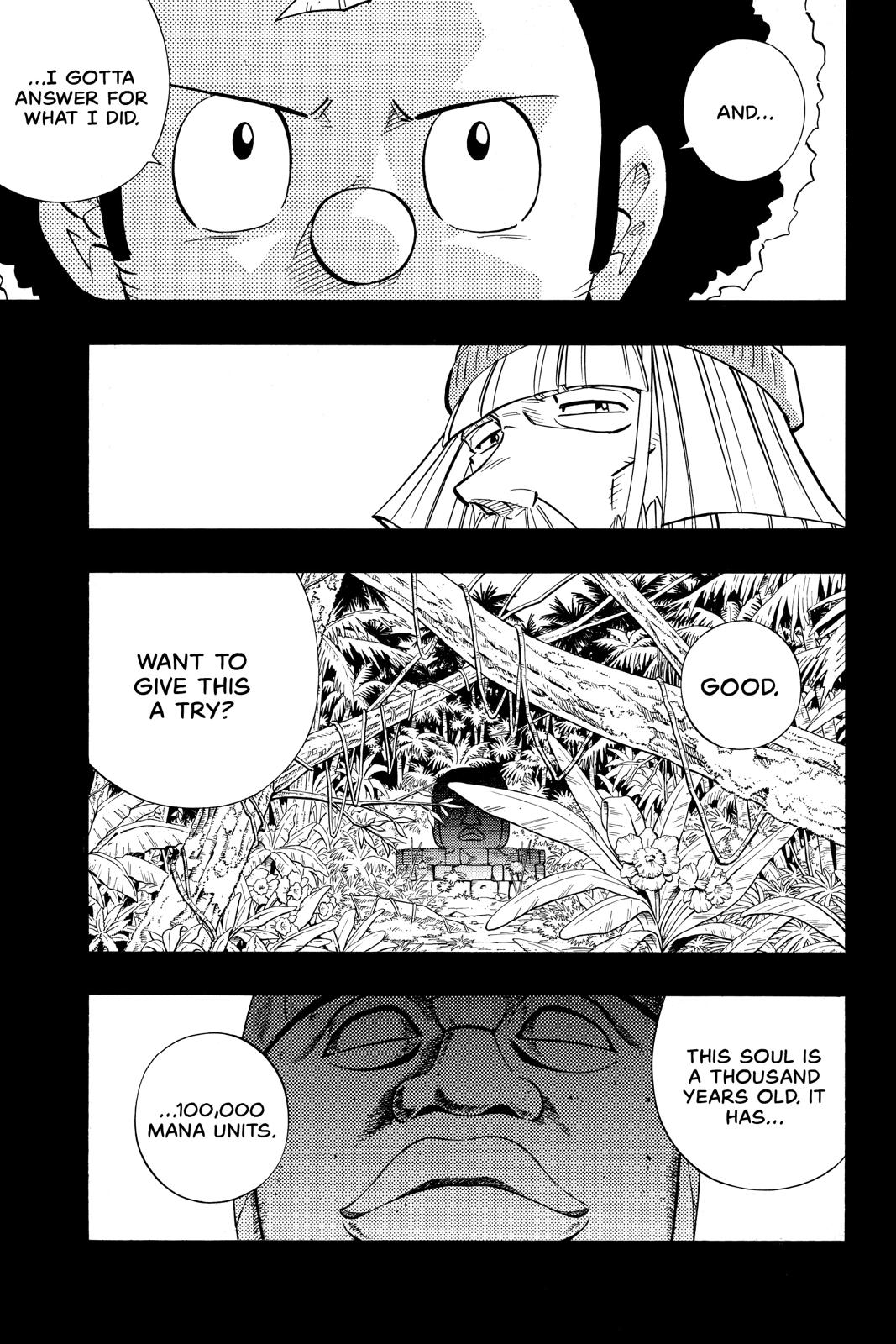 Shaman King Chapter 204 page 17 - Chapter 204