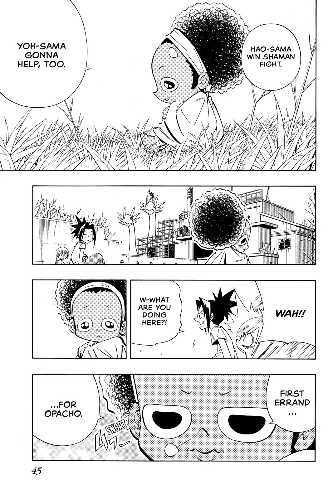 Shaman King Chapter 208 page 17 - Chapter 208
