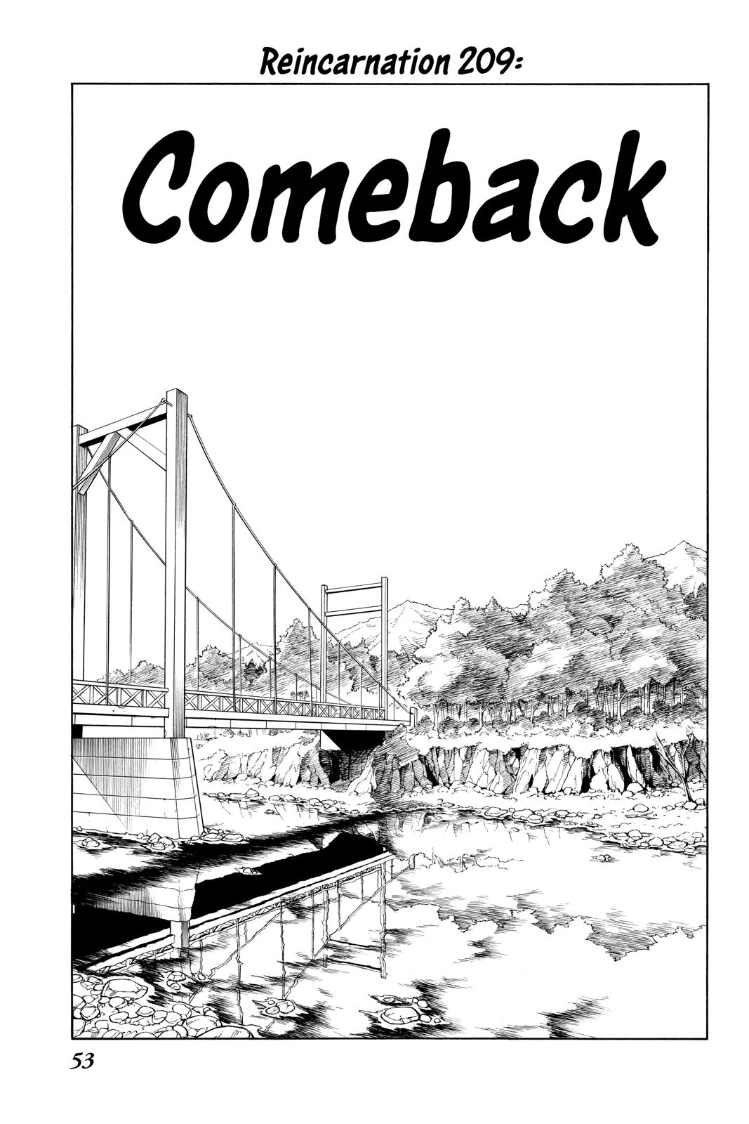 Shaman King Chapter 209 page 3 - Chapter 209