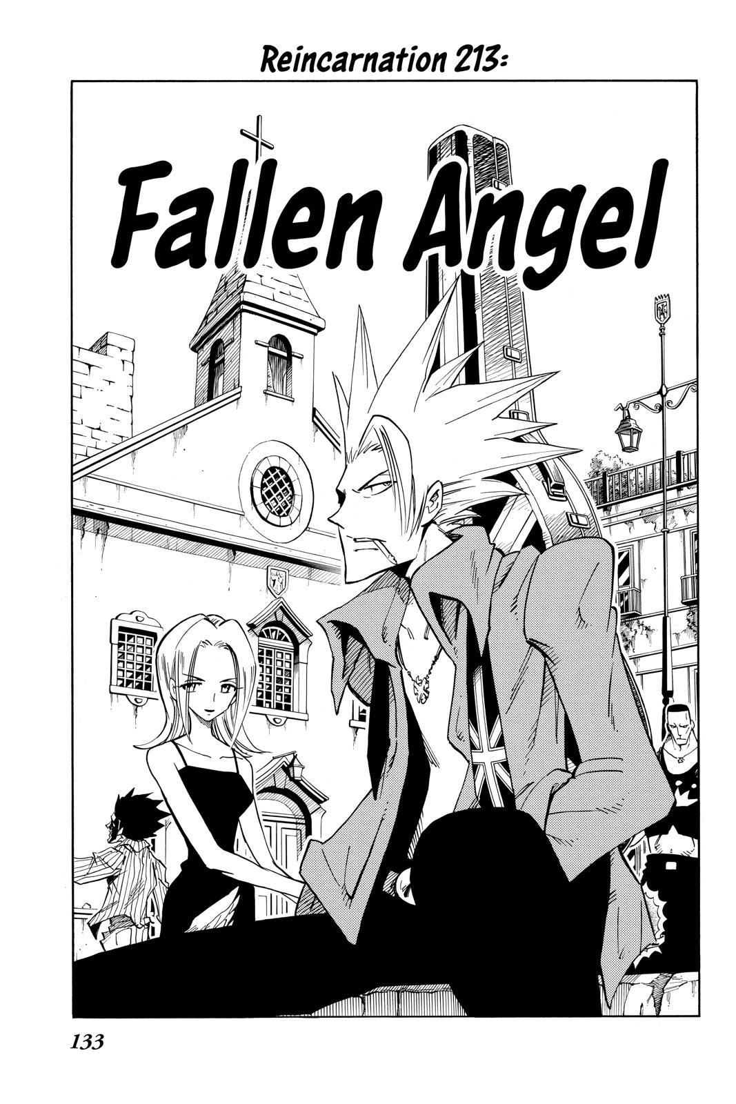 Shaman King Chapter 213 page 3 - Chapter 213