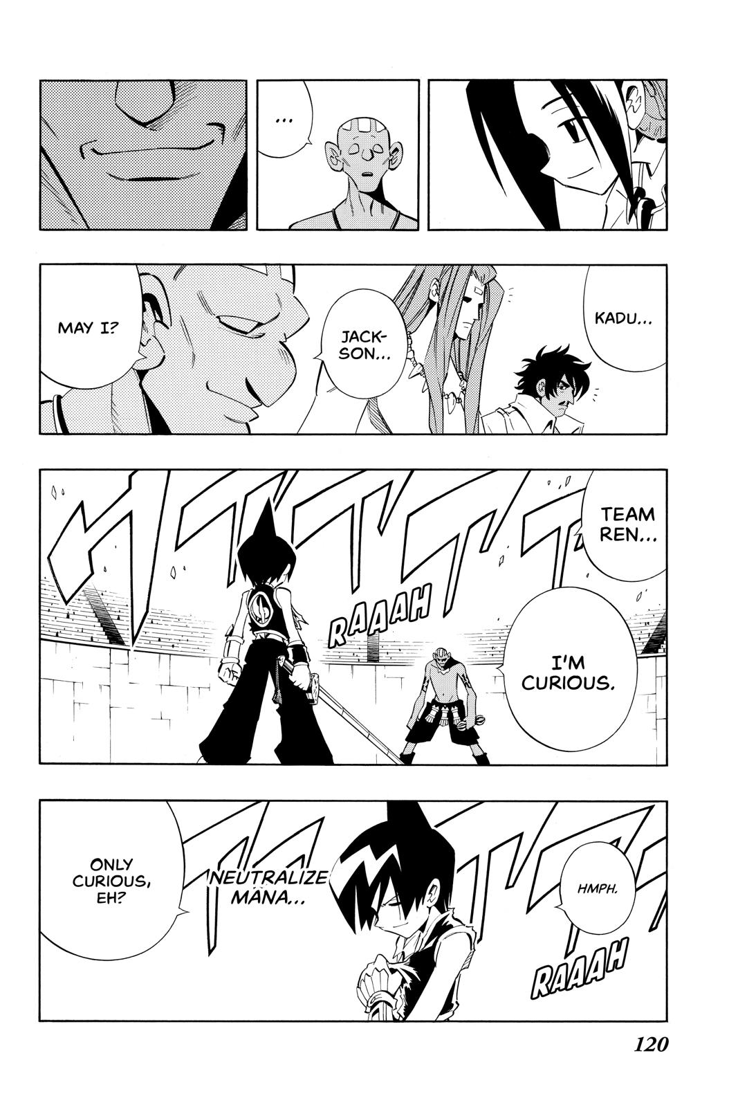 Shaman King Chapter 221 page 17 - Chapter 221