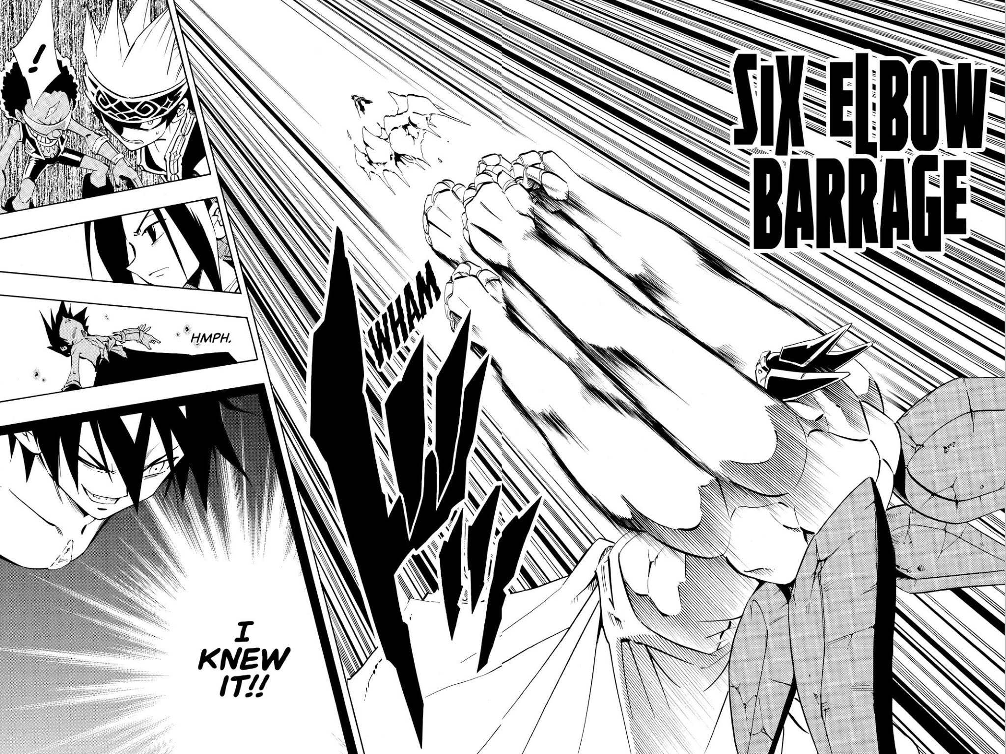 Shaman King Chapter 222 page 18 - Chapter 222
