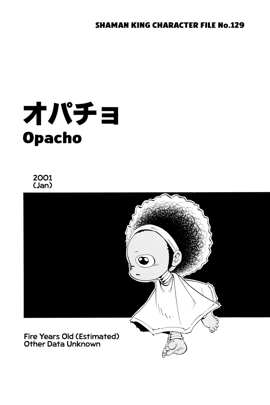 Shaman King Chapter 224 page 22 - Chapter 224