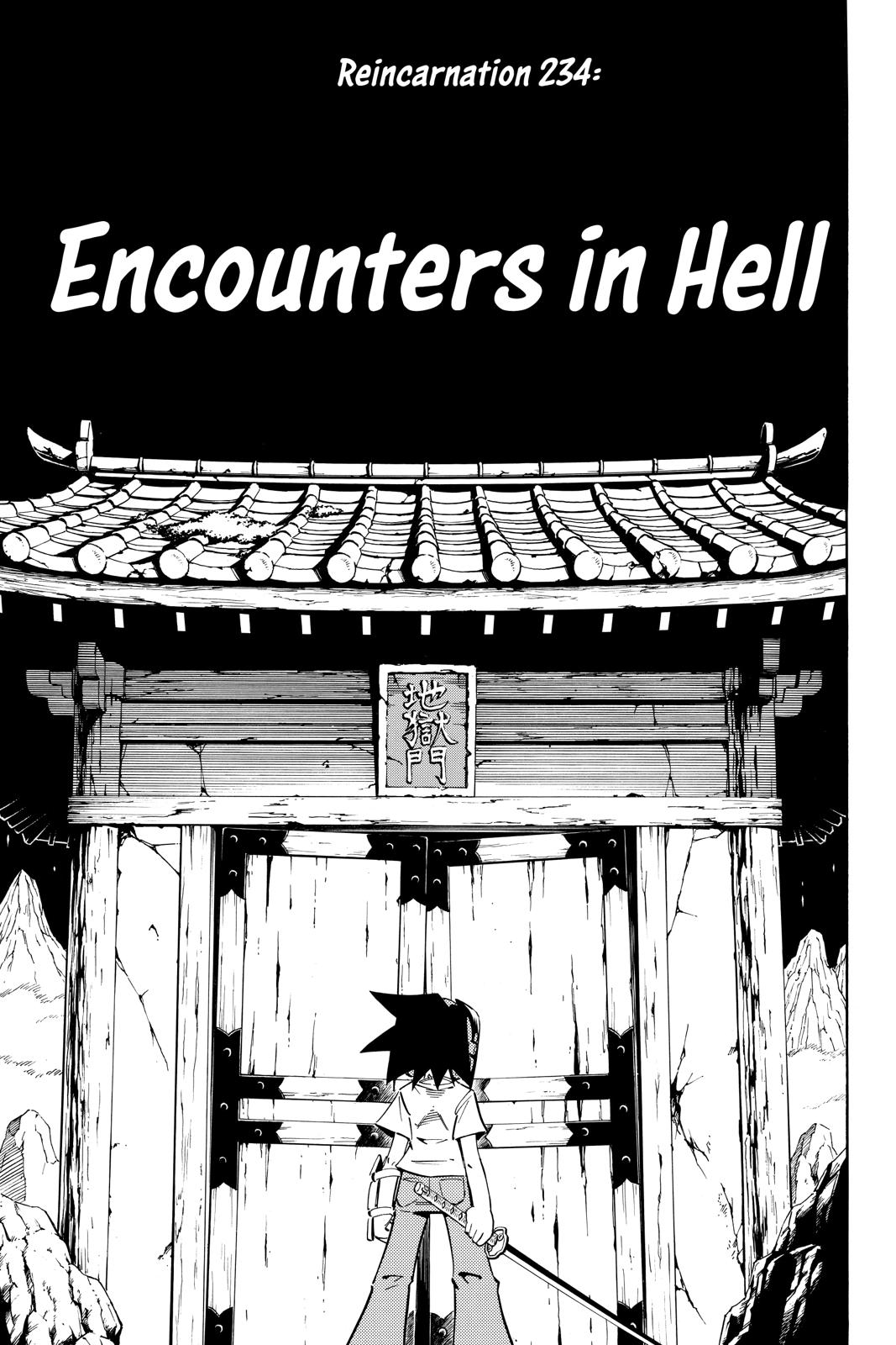 Shaman King Chapter 234 page 10 - Chapter 234